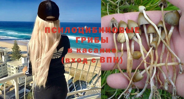 mdpv Каменск-Шахтинский