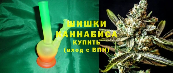 apvp Иннополис