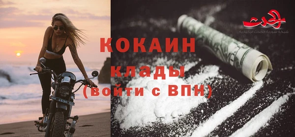 соль ск Каменногорск