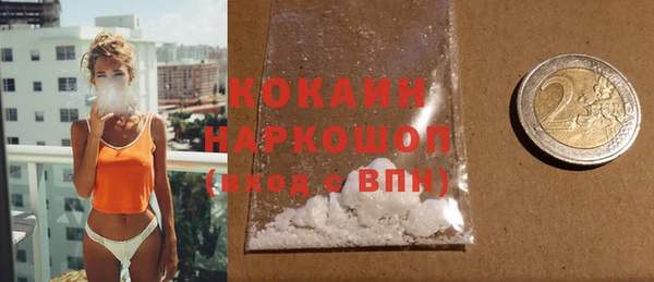 соль ск Каменногорск