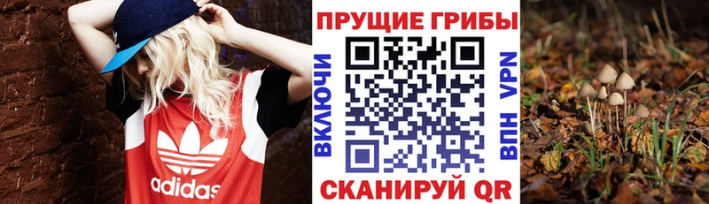 Галлюциногенные грибы GOLDEN TEACHER  Касимов 