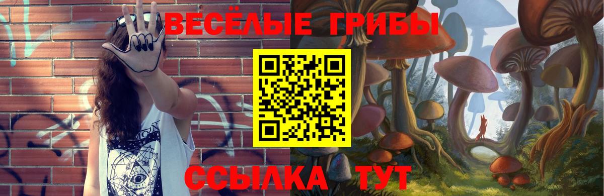 Псилоцибиновые грибы ЛСД  Галлюциногенные грибы мицелий  Вход с VPN  Касимов 
