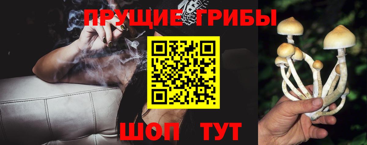 Псилоцибиновые грибы GOLDEN TEACHER Касимов